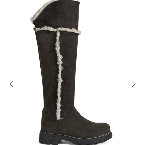 La Canadienne NEW Tammy Suede & Shearling boots - Picture 5 of 8